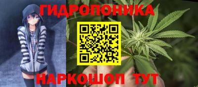 ALPHA PVP Заволжье