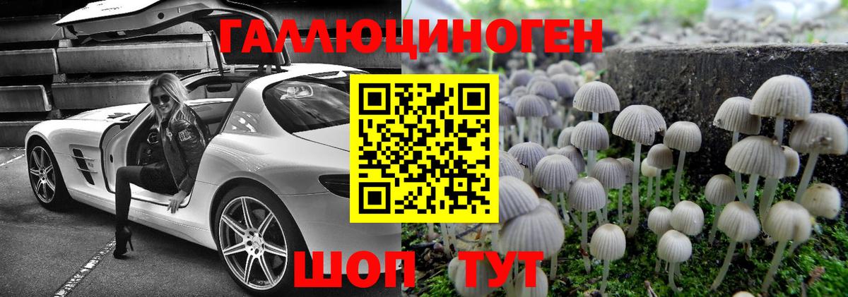 Галлюциногенные грибы Psilocybe Семёнов