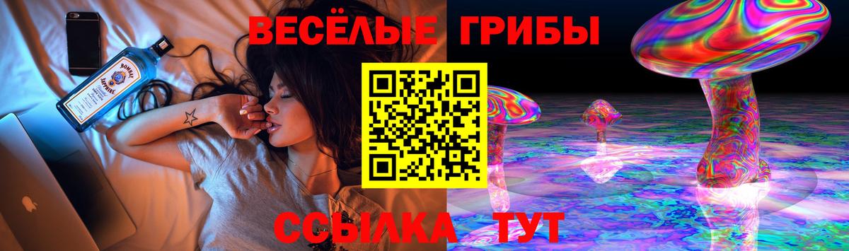 Семёнов  Псилоцибиновые грибы GOLDEN TEACHER  Вход с VPN  закладка  Псилоцибиновые грибы MAGIC MUSHROOMS 