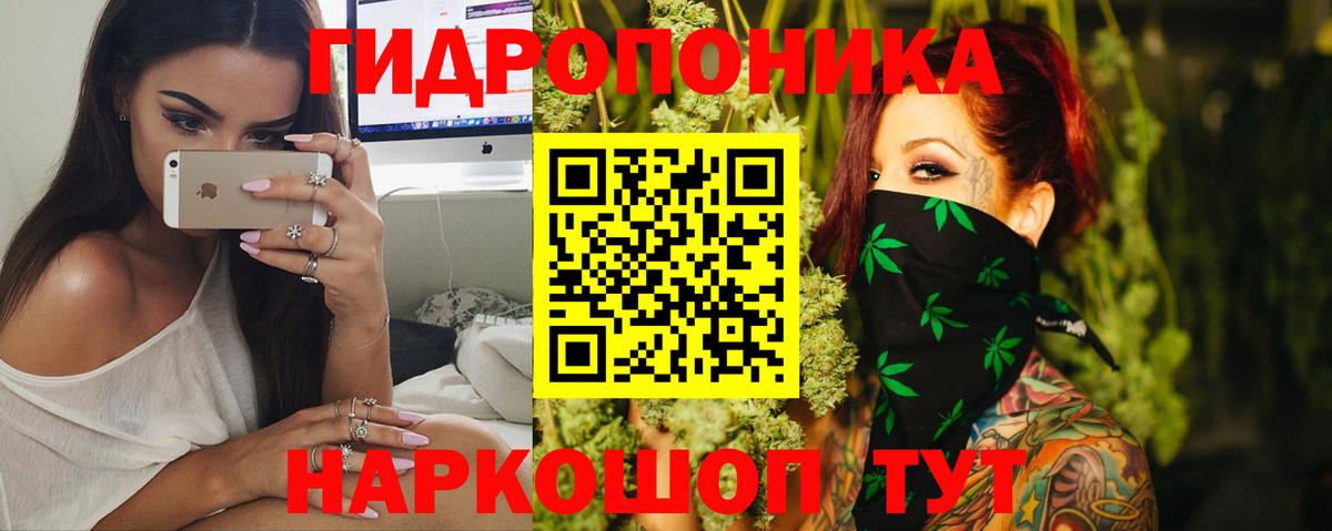 Бошки Шишки AK-47  Конопля марихуана  Семёнов  Вход с VPN  Бошки Шишки конопля 